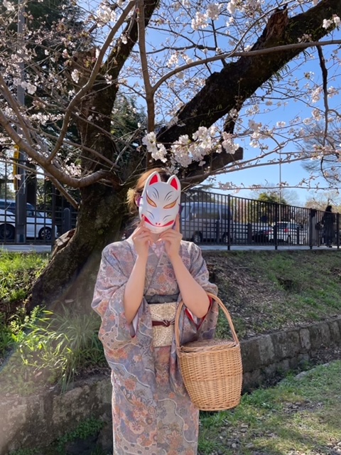 京都 ❀ 祇園の桜が満開です❁